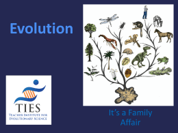 Evolution - Richard Dawkins