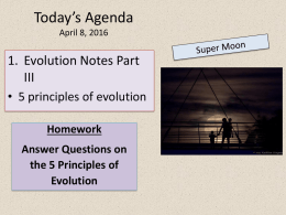 Evolution Notes #2