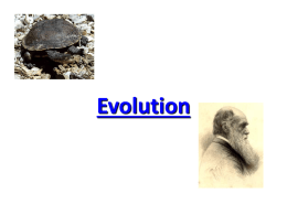 Evolution1x
