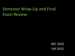 Final Exam Review PowerPointx