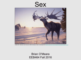Sex - Brian O`Meara