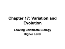 Evolution (cont.) - leavingcertbiology.net