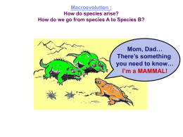 Macroevolution and Speciation 2013 for Test 2
