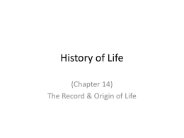History of Life - CHS