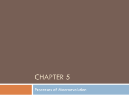Chapter 7 Mammalian/Primate Evolutionary History