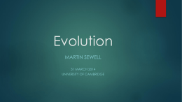 Evolution - Martin Sewell