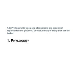 1. Phylogeny - cloudfront.net