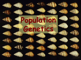 population genetics unrevised
