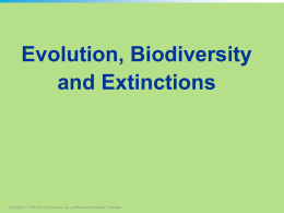 Notes - Evolution and Biodiversity and Extinctions