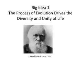 Big Idea 1 The Process of Evolution Drives the Diversity and Unity of