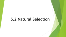 5.2 Natural Selection - Cougar science rocks!