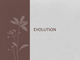 Evolution notes
