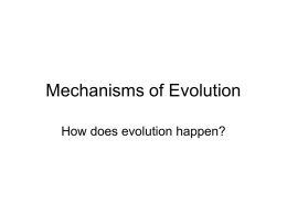 Mechanisms of Evolution - APBiology2010-2011