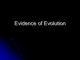 evidence for evolution
