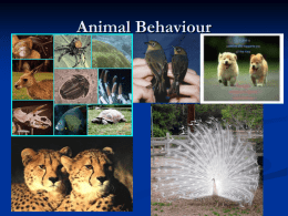 Genetics of Animal Behaviour