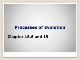 18.6-19 Evolution PowerPoint