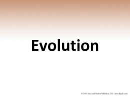 Chapter 16 Evolution and Adapations