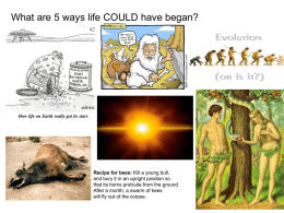 What are 5 ways life COULD have began?