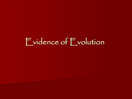 Evolution_Evidence of Evolution_4