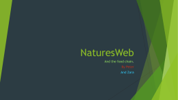 Natures Web - fohenaghns