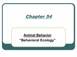 Chapter 54 Animal Behavior