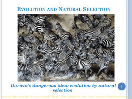 evolution by natural selection