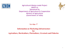 Agricultural Marketing Infrastructure