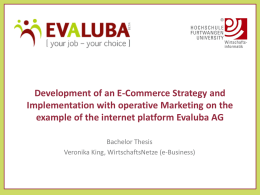 Entwicklung einer E-Commerce Strategie mit