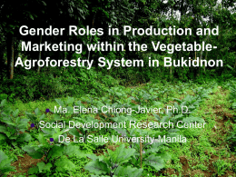 Gender Roles in Production and Marketing within the