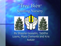 Tree Bien” Seedling Nursery