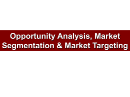 Opportunity Analysis, Market Segmentation & Market Targeting