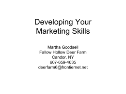 Developing Your Marketing Skills