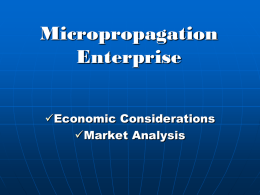 Micropropagation Enterprice