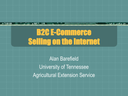 B2C e-Commerce: Selling on the Internet