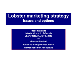 Lobster marketing strategy Issues and options