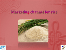 MARKETING CHANNEL FOR RICE