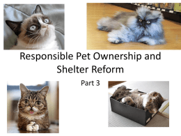 Responsible Pet Ownership and Shelter Reform Part 3