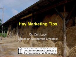Marketing Considerations in Hay