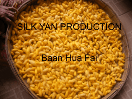 Baan Hua Fai Silk Yan Product Group