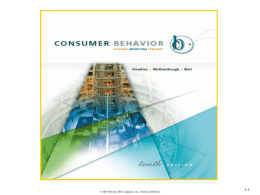 Marketing Strategy and Consumer Behavior
