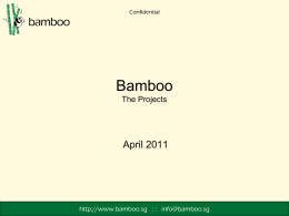 Bamboo - Corporate Profile