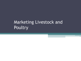 Marketing Livestock and Poultry