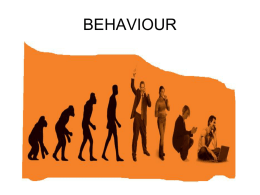 What Is Consumer Behavior?