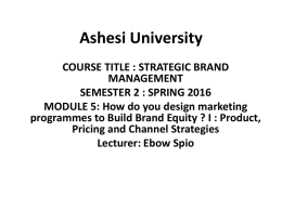Designing Marketing Programmes to Build Brand Equity File
