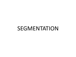 mmi-viii-segmentation
