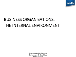 Chapter 1 Business Organisations - The Internal Environment ws