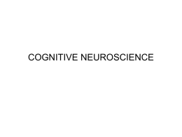Syllabus P140C (68530) Cognitive Science