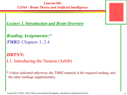 USC Brain Project Specific Aims