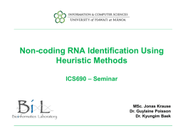 Non-coding RNA Identification Using Heuristic Methods