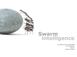 Modelling swarm behaviour